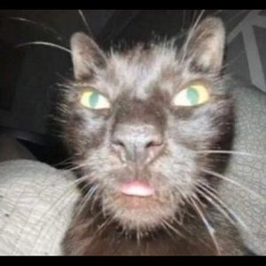 Meet your Posher, Christian